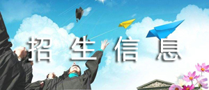 招生信息
